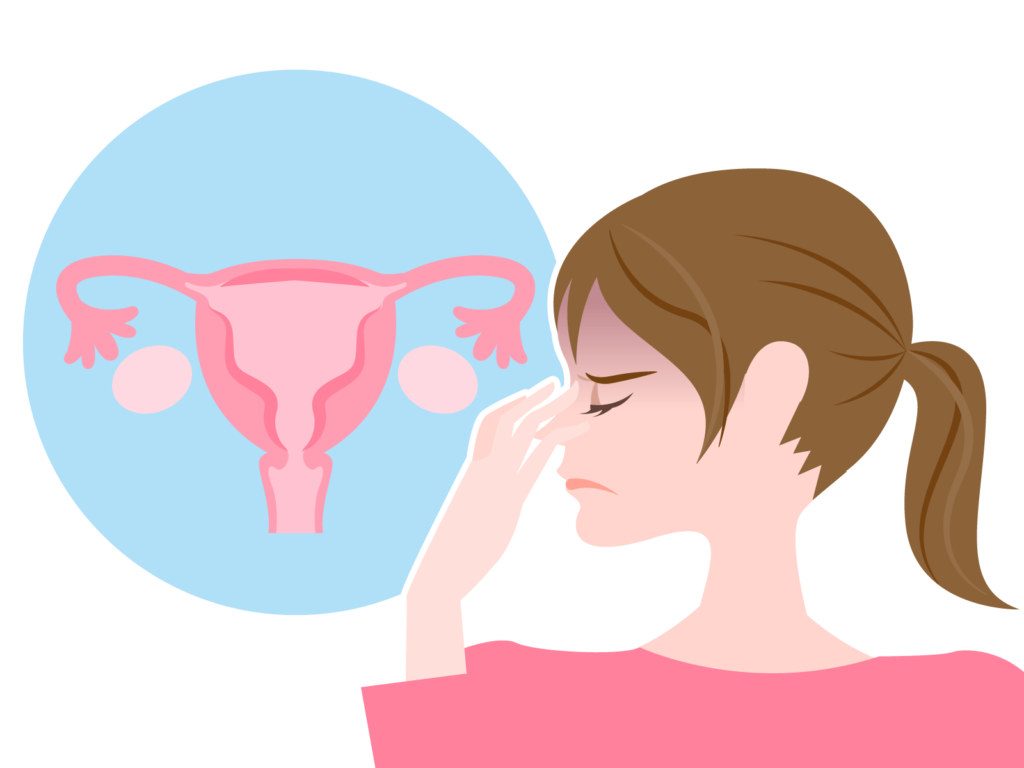 卵巣と子宮と月経は女性ホルモンの働きが連携している図