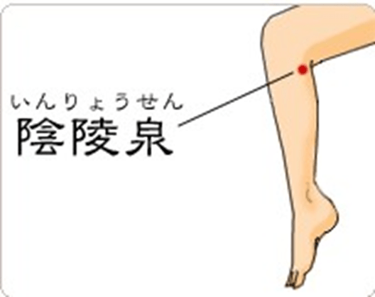 足にある消化器の治療や水はけに使う陰陵泉の位置の図